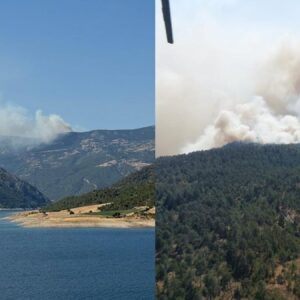 sinopta orman yangini evler tahliye ediliyor bLd34bns