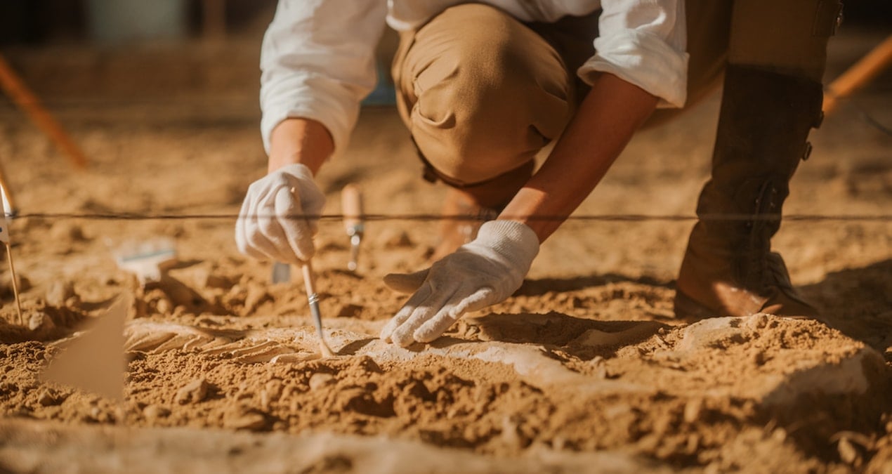 13 bin yillik mamutlarin dnasi bilim insanlarini sasirtti PU1PEq62