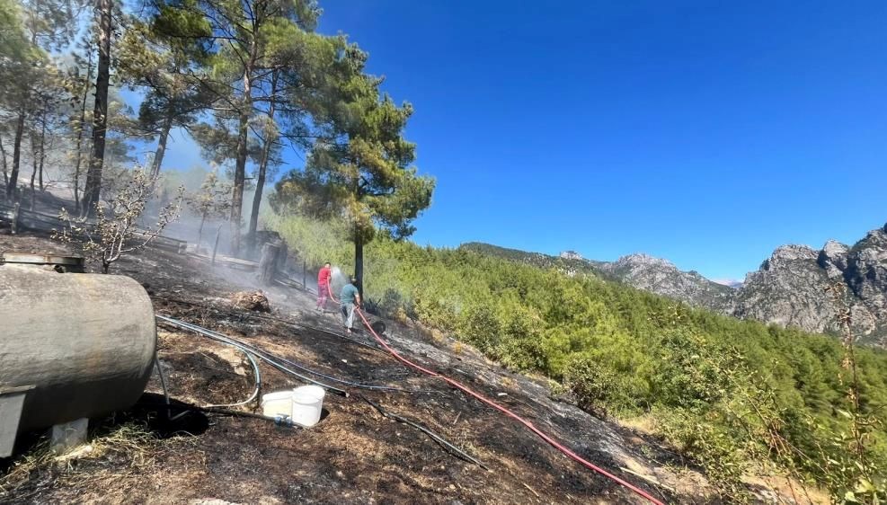 adanada orman yangini mudahale suruyor Rxwpd3GR