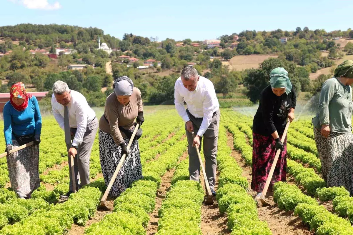 kocaeli buyuksehir belediyesinden ciftcilere 1 milyar tl destek 9SeLXU43