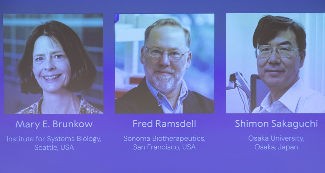 nobel tip odulu kazanan isim sirra kadem basti ulasilamiyor eFHvdA6M