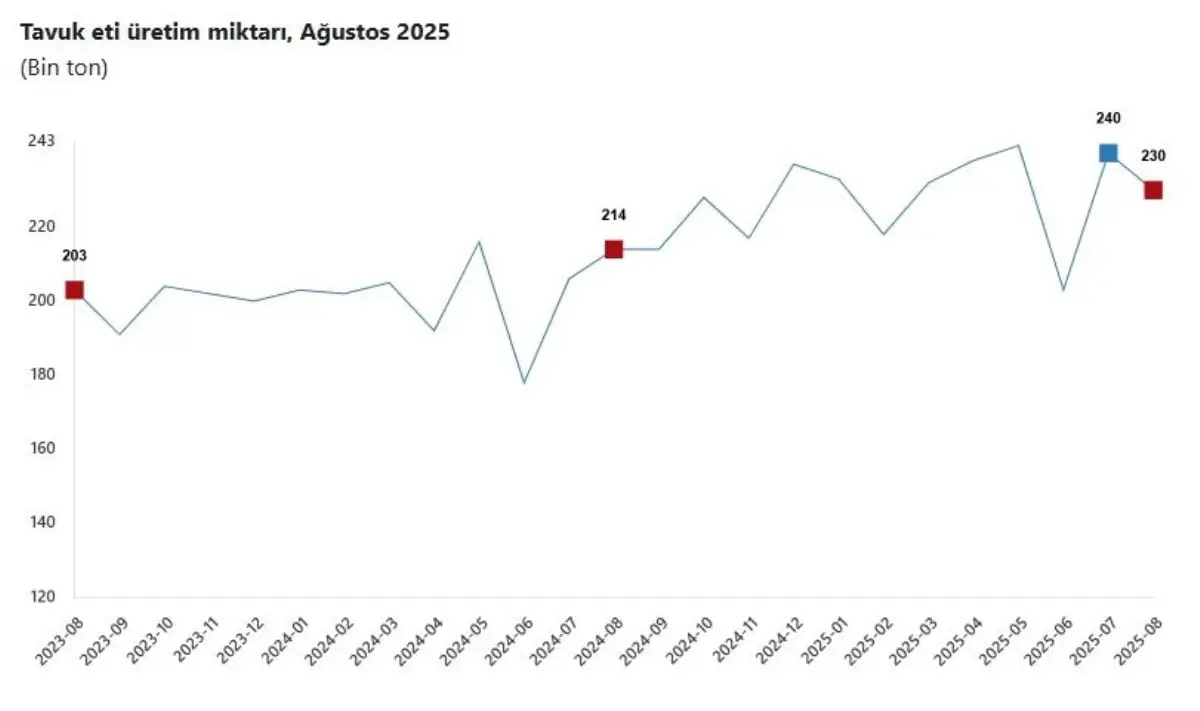 tuik agustosta tavuk eti uretimi dustu sut ve yumurtada artis CE5SZKhu.jpg