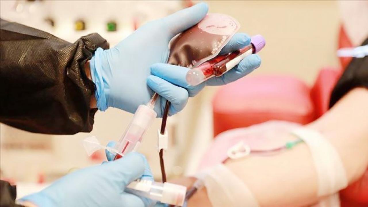 bir bagis bir hayat kok hucre bagisiyla hayat yeniden basliyor 63sVgPJn.jpg