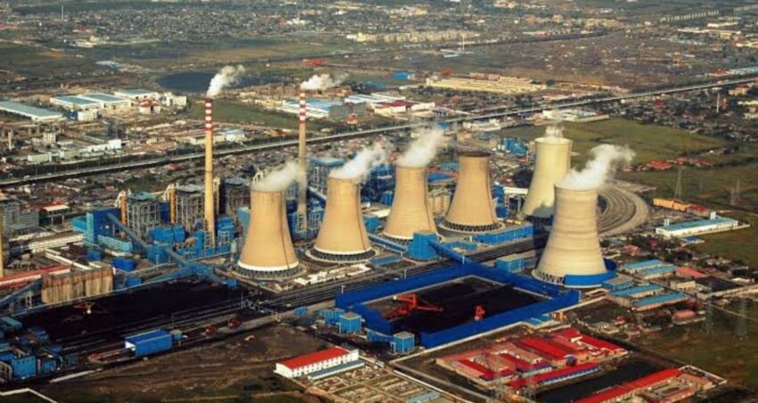 Dünyanın kralı oldular: Türkiye’nin 32 katına çıktılar