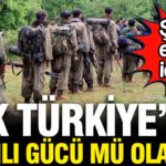 Pkk turkiyenin silahli gucu mu olacak soke eden iddia pzmsn3dN
